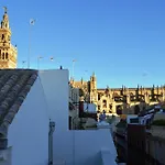 Stunning Attic With Private Terrace And Parking Optional