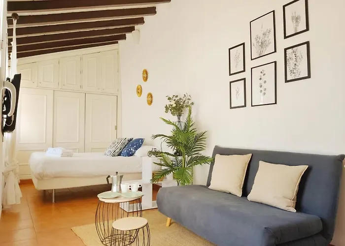 Stunning Attic With Private Terrace And Parking Optional