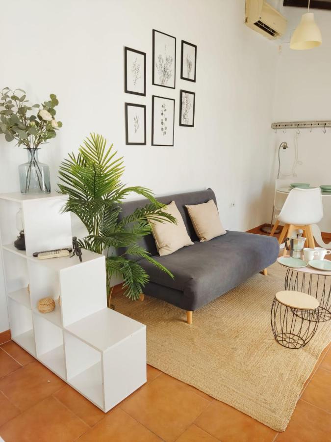 Stunning Attic With Private Terrace And Parking Optional Appartement